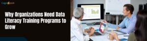 data literacy training programs​